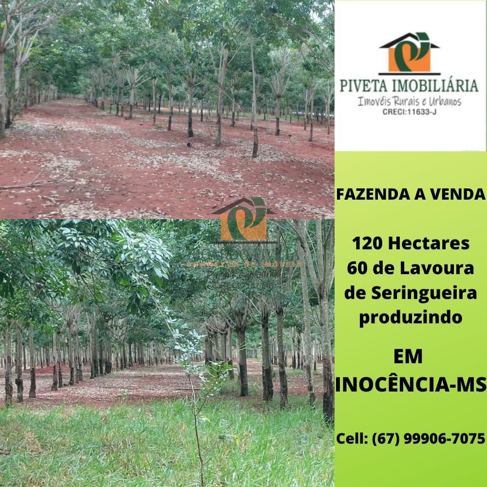 Fazenda à venda - Foto 1