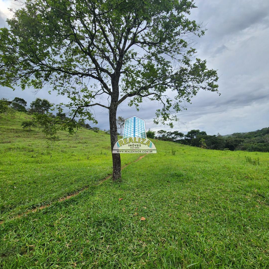 Fazenda 26 hectares 100% formada 3 km chão a 60 KM de Brasília, brazlandia
