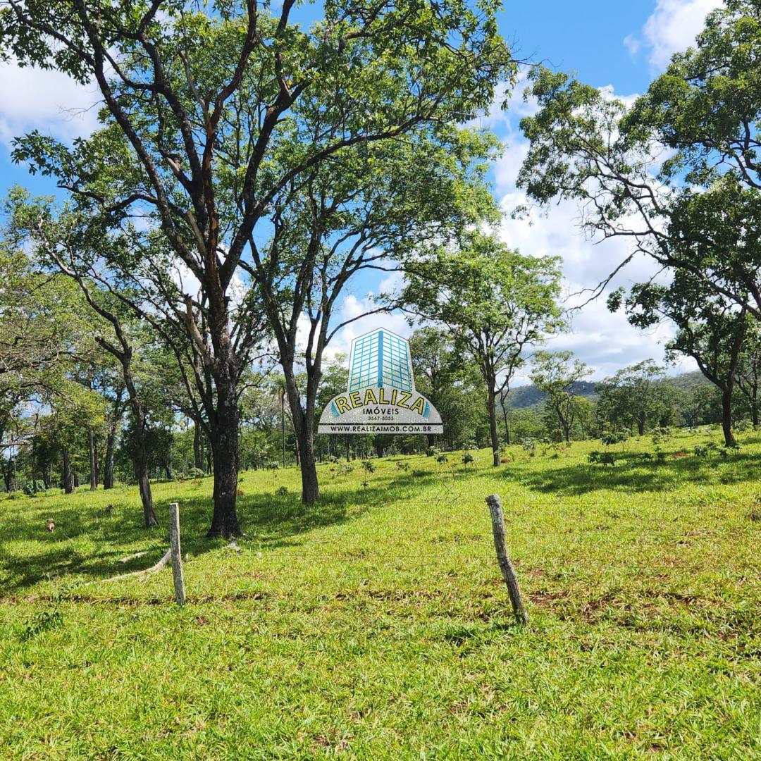 Fazenda 54 Alqueires 100% formada 1 km chão a 108 KM de Brasília, Bezerra GO